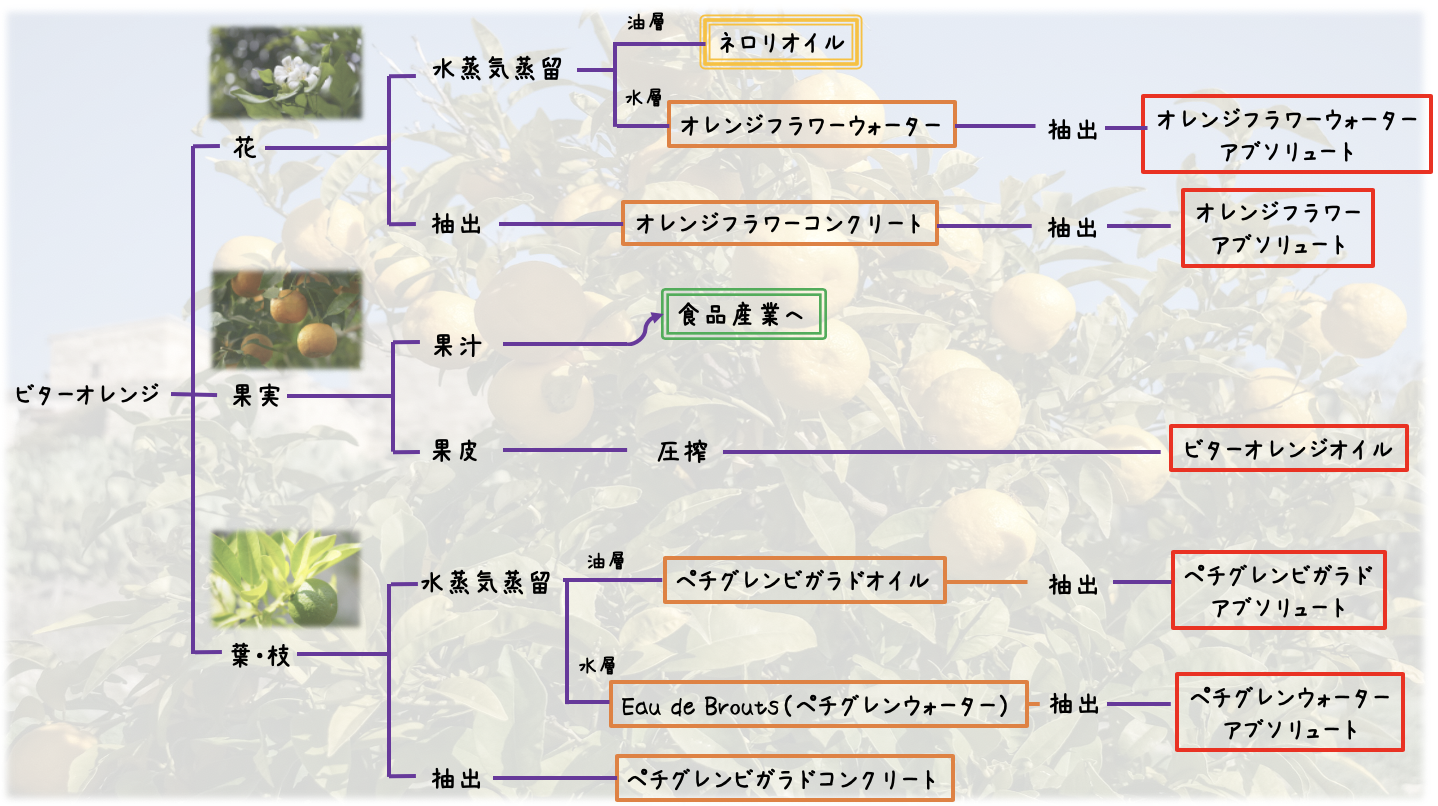 ビターオレンジの利用