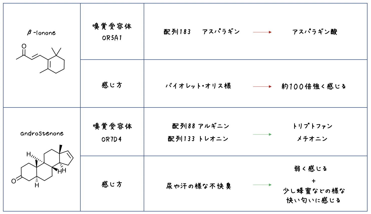 嗅覚受容体による嗅覚の変化